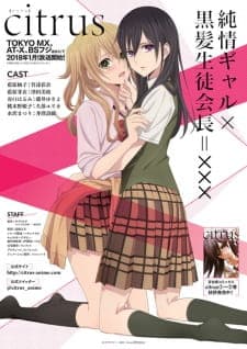 Anime picture 2