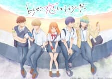 Anime picture 5