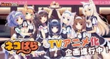 Anime picture 2
