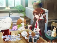 Anime picture 3