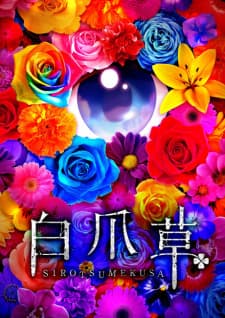 Anime picture 1