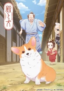 Anime picture 4