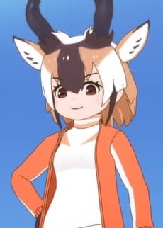 Pronghorn