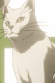 Tim
