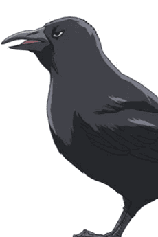 Huginn