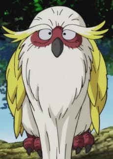 Toki Toki