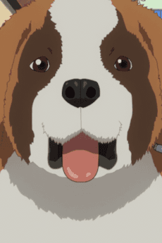 Inu