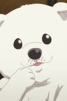 Kyui