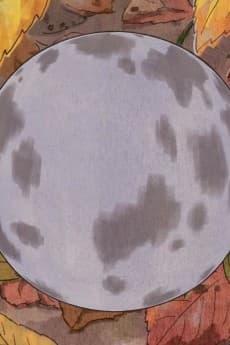 Bonbori