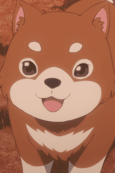 Roku-kun