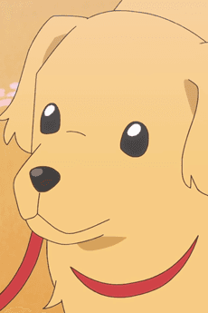 Kyuutarou