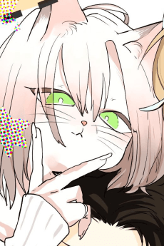 Kisara