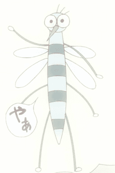 Model Ka