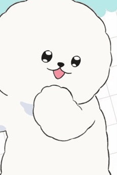 Yeti