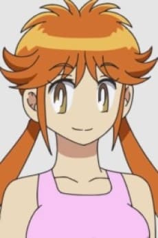 Misato Ichigeki