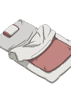 Futon