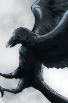 Karasu