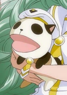 Maa