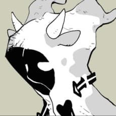 FUZI