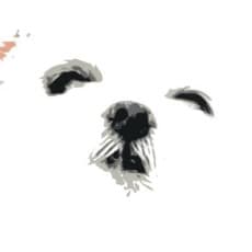 ningan