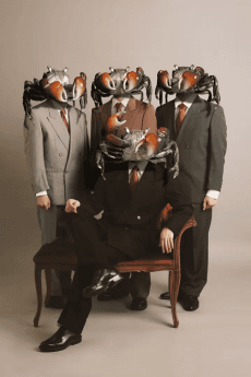 Crab Kani Club